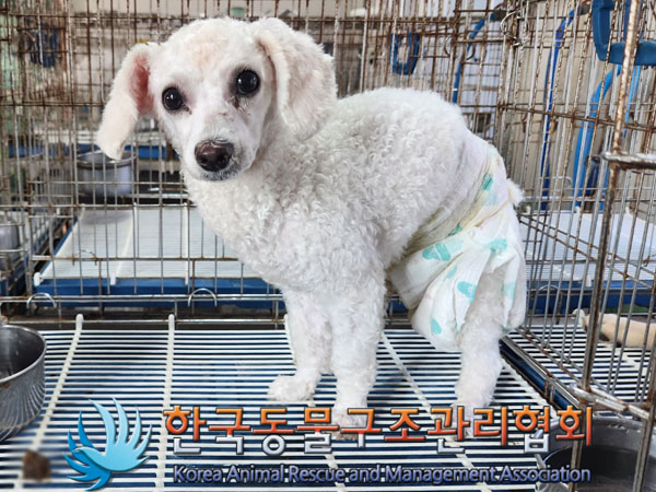 한국동물구조관리협회_441559202300847